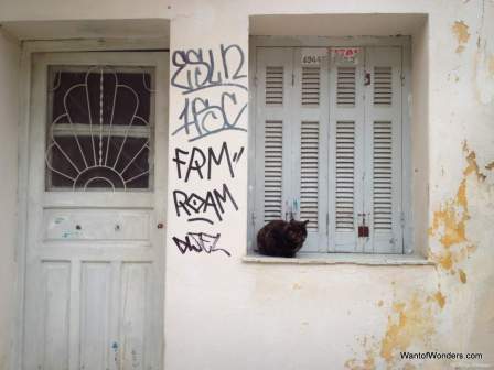 Anafiotika Neighborhood, home of many cats
